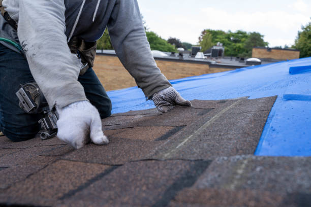 Best Commercial Roofing Services  in Brookings, OR